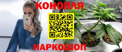 шишки Усть-Джегута