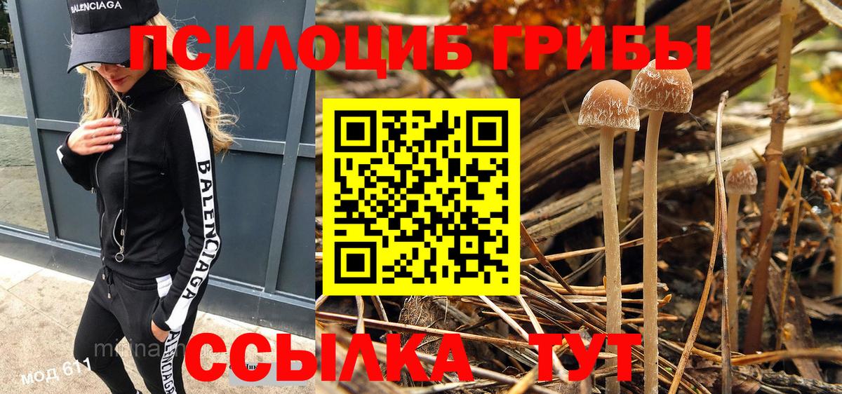 Галлюциногенные грибы Psilocybine cubensis  Вход с VPN  Можга 