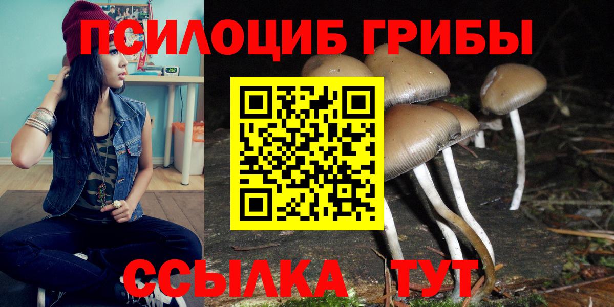 Галлюциногенные грибы MAGIC MUSHROOMS Можга